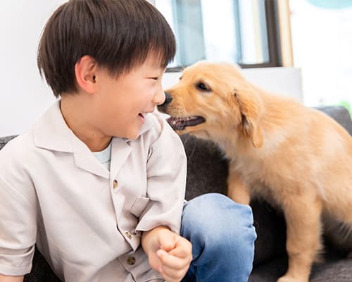 胡桃工房が目指す姿